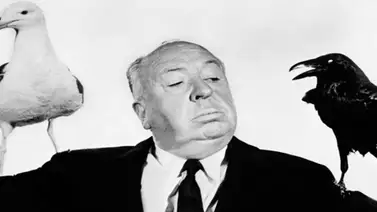 Amantes del suspenso Amantes del suspenso