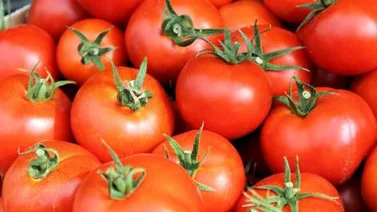 Mascarillas caseras: tomate y avena