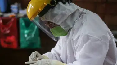 Colombia supera las ocho mil muertes y los 240 mil contagios por Coronavirus Colombia supera las ocho mil muertes y los 240 mil contagios por Coronavirus