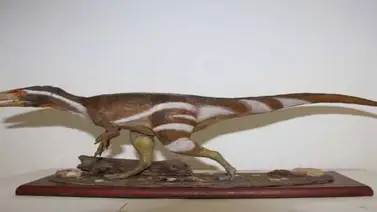 Descubren en Brasil un fósil de una especie de dinosaurio desconocida Descubren en Brasil un fósil de una especie de dinosaurio desconocida