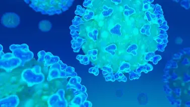 Políticos fallecidos por Covid-19 en el mundo Políticos fallecidos por Covid-19 en el mundo