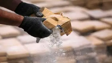 Incautan 4,9 toneladas de cocaína en el puerto colombiano de Buenaventura Incautan 4,9 toneladas de cocaína en el puerto colombiano de Buenaventura