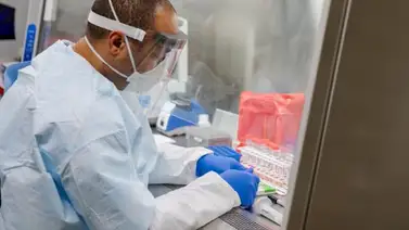 Medicamento para la acidez estomacal podría aliviar síntomas de Covid-19 Medicamento para la acidez estomacal podría aliviar síntomas de Covid-19