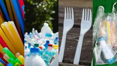 Arcos Dorados anuncia la eliminación de 150 toneladas de plástico de un solo uso Arcos Dorados anuncia la eliminación de 150 toneladas de plástico de un solo uso