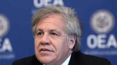Almagro: La pandemia "está poniendo a prueba el Estado de derecho" Almagro: La pandemia "está poniendo a prueba el Estado de derecho"