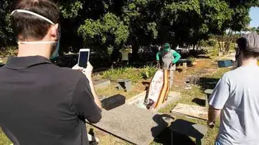 Brasil llega a los 37.134 muertos por Covid-19 Brasil llega a los 37.134 muertos por Covid-19