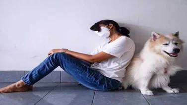 ¿Los animales pueden realmente contagiar Covid-19 a seres humanos?