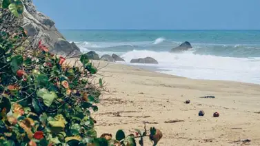 Reapertura de playas con actividades limitadas en Los Ángeles Reapertura de playas con actividades limitadas en Los Ángeles