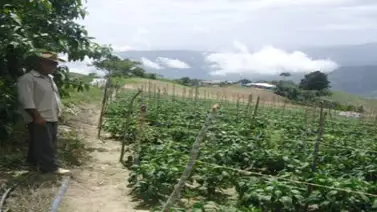 Gobernación de Trujillo reactivará 16 unidades de producción en la entidad Gobernación de Trujillo reactivará 16 unidades de producción en la entidad