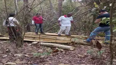 Minec fiscaliza quemas de vegetación en Anzoátegui Minec fiscaliza quemas de vegetación en Anzoátegui