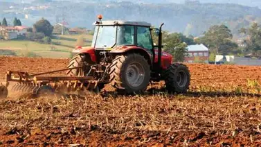 Fedeagro: Demanda alimenticia tuvo una caída del 20% en solo quince días Fedeagro: Demanda alimenticia tuvo una caída del 20% en solo quince días