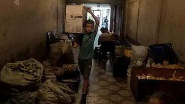 Entre tostones e invasores: el día a día de los habitantes de la Torre Viasa (+Fotos) Entre tostones e invasores: el día a día de los habitantes de la Torre Viasa (+Fotos)