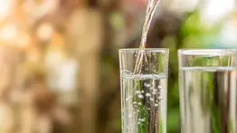 Efectos del inadecuado almacenamiento de agua