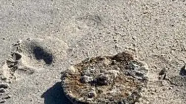Un hombre encuentra una mina de la II Guerra Mundial en una playa de Florida Un hombre encuentra una mina de la II Guerra Mundial en una playa de Florida