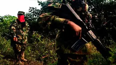 ELN libera en Colombia a tres menores en zona fronteriza con Venezuela ELN libera en Colombia a tres menores en zona fronteriza con Venezuela