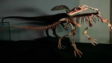 Un parque triásico en las pampas del sur de Brasil Un parque triásico en las pampas del sur de Brasil