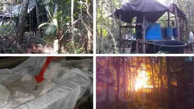 Desarticulan 16 laboratorios de drogas Desarticulan 16 laboratorios de drogas