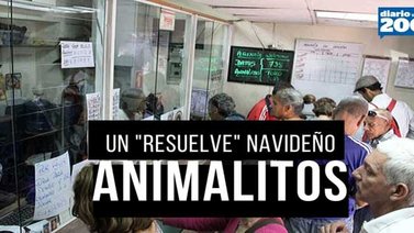 Lotería de Animalitos: Un resuelve navideño para los venezolanos (+Video)