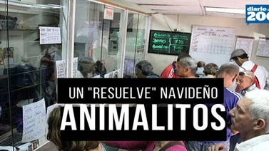 Lotería de Animalitos: Un resuelve navideño para los venezolanos (+Video)