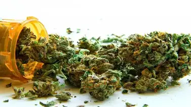 Contratarán a alguien para fumar marihuana por 3.000 dólares al mes Contratarán a alguien para fumar marihuana por 3.000 dólares al mes