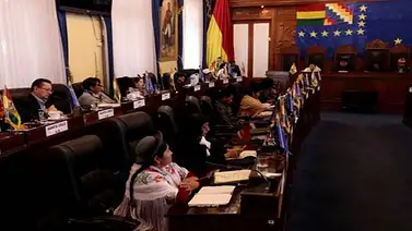 Senado de Bolivia aprueba por unanimidad ley para convocar nuevas elecciones (+Video) Senado de Bolivia aprueba por unanimidad ley para convocar nuevas elecciones (+Video)
