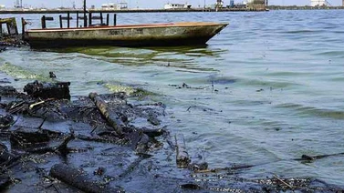 Denuncian derrame petrolero en el Zulia