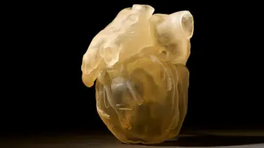 Diseñan impresora 3D que reproduce el tejido humano para operaciones médicas Diseñan impresora 3D que reproduce el tejido humano para operaciones médicas