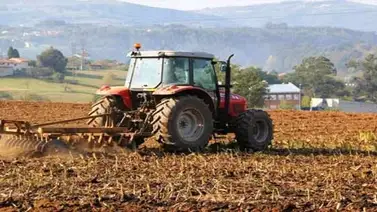 Fedeagro pronostica estancamiento del sector agrícola para el 2020 Fedeagro pronostica estancamiento del sector agrícola para el 2020