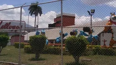 Kellogg anuncia acciones legales por el uso indebido de su marca en Venezuela Kellogg anuncia acciones legales por el uso indebido de su marca en Venezuela