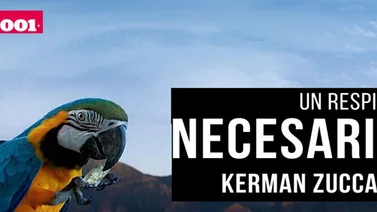 Video: Kerman Zuccaro rinde tributo a los paisajes de Venezuela como un respiro necesario