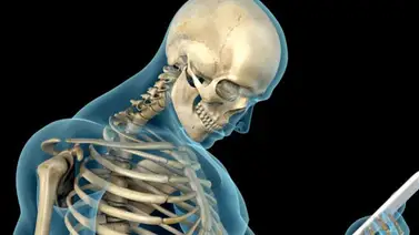 La base del cráneo humano cambia por el uso prolongado de los dispositivos móviles La base del cráneo humano cambia por el uso prolongado de los dispositivos móviles