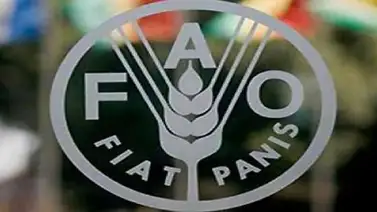 FAO: Venezuela está entre los países que necesitan ayuda alimentaria FAO: Venezuela está entre los países que necesitan ayuda alimentaria