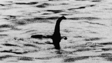 Monstruo del lago Ness podría ser anguila grande Monstruo del lago Ness podría ser anguila grande