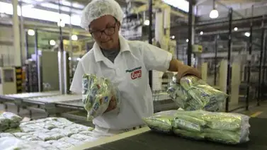 Gobierno busca garantizar las cajas CLAP con producción nacional Gobierno busca garantizar las cajas CLAP con producción nacional