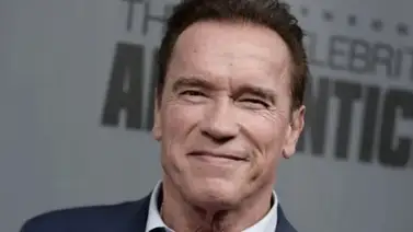 Arnold Schwarzenegger recibió una "patada voladora" durante un evento público (Video) Arnold Schwarzenegger recibió una "patada voladora" durante un evento público (Video)