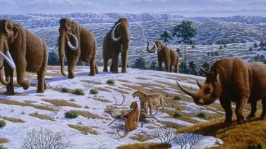 Hallados los "mamuts galácticos" del universo joven Hallados los "mamuts galácticos" del universo joven