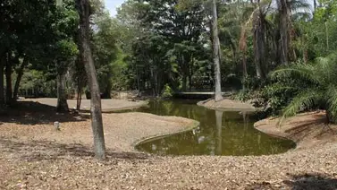 El Parque del Este está seco y de "capa caída" El Parque del Este está seco y de "capa caída"