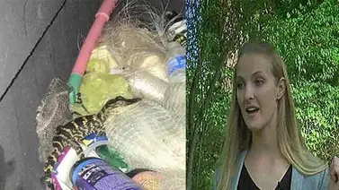 Una chica saca un caimán que tenía oculto en sus pantalones tras ser detenida en Florida Una chica saca un caimán que tenía oculto en sus pantalones tras ser detenida en Florida