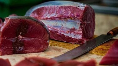 El atún, muy apreciado en la cocina y bajo mínimos en los océanos