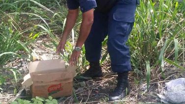 Hallaron a bebé abandonado en un matorral de Aragua (+Foto)