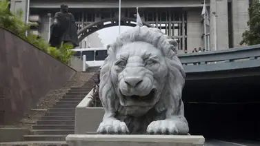 Erika Farías quiere cambiar León por ojos de Chávez en escudo de Caracas Erika Farías quiere cambiar León por ojos de Chávez en escudo de Caracas