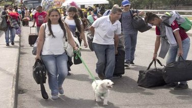Emigrar con mascotas es "un lujo" para los venezolanos
