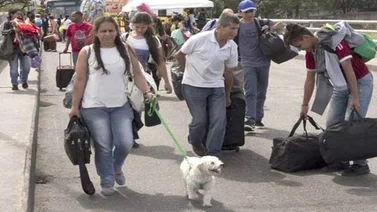 Emigrar con mascotas es "un lujo" para los venezolanos