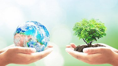 La tierra espera más cariño en su día
