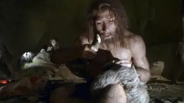 Científicos descubren una nueva especie de homínido de Denísova Científicos descubren una nueva especie de homínido de Denísova