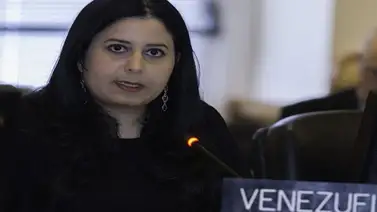 Representante de Maduro en la OEA: El único modo que yo me retire es que suspendan a Venezuela Representante de Maduro en la OEA: El único modo que yo me retire es que suspendan a Venezuela