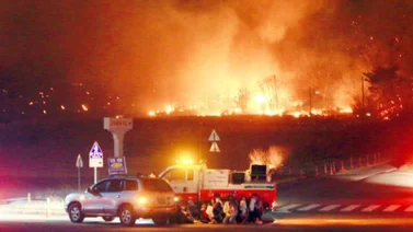Corea del Sur declara estado de catástrofe por enorme incendio forestal