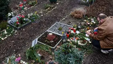 El cementerio alemán que entierra cadáveres animales en vez de humanos El cementerio alemán que entierra cadáveres animales en vez de humanos