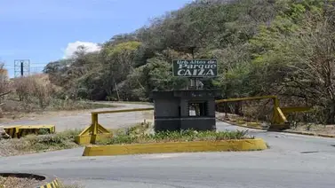 Desidia es la única que juega en Parque Caiza Desidia es la única que juega en Parque Caiza