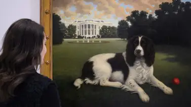 Museo en Nueva York hace una reverencia al mejor amigo del hombre Museo en Nueva York hace una reverencia al mejor amigo del hombre